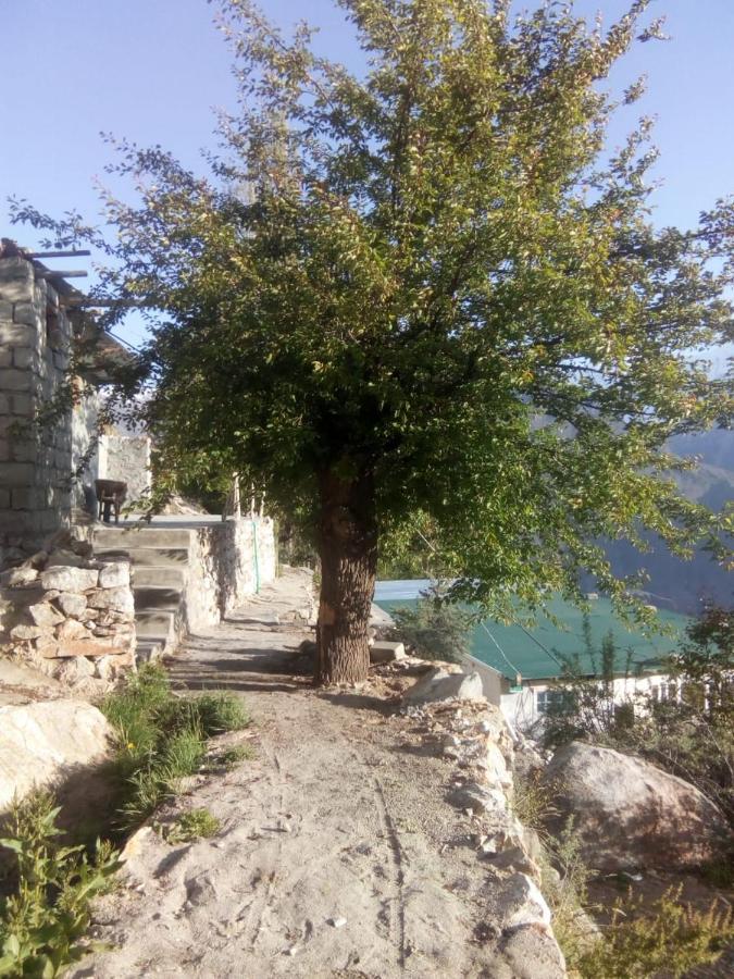 Venus Mountain Resort, Hunza Karimabad  Extérieur photo
